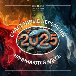 Новый Год 2025